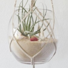 beach, sea, terrarium, plant, air plant, art, museum, learning, workshop, craft, crafting, macrame