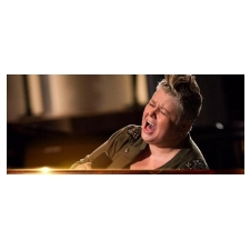 Singer, concert, blues, 