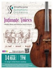 classical music, live music, orchestra, symphony, strings, chamber music