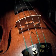 music, violin, recital, concert, orchestra
