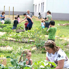 garden, harvest, lake trail