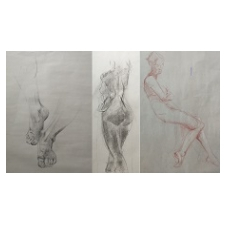 drawing, model, live model, drop in