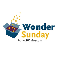 Museum, Wonder Sunday, children's activities