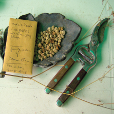 Seeds, Seed Saving
