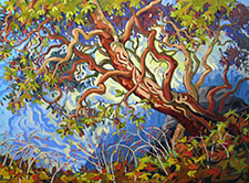 art, original, Canadian, exhibition, canvas, painting, gallery, Victoria, British Columbia
