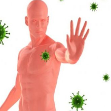 health, healing, wellness, conscious evolution, chiropractic, dr. norm, nsa, network spinal analysis, germ theory, curious, wellbeing, immune system, adjustment, entrainment, share, care, cold/flu, disease, lifehouse, nanaimo, bc
