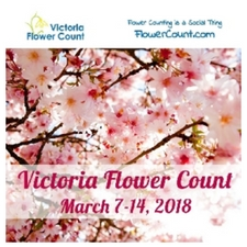 #flowercount, @flowercount, flower count, 