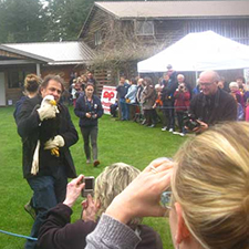 Eagle release