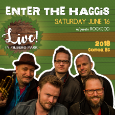 live music, summer concerts, outdoor concert, canadian music, singer