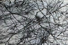 art, drawing, ink, abstract, pen, brush, washes, composition, marks, shapes