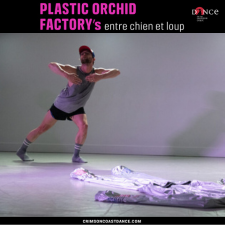 Dance, workshop, space, experimentation, solo, partner, movement, eploration, performance