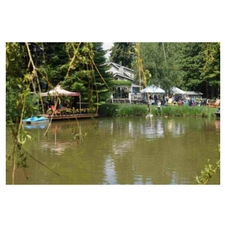 art music gardens pond