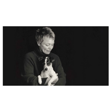 film, artist, discussion, community, buddhism