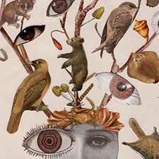 art, art classes, art courses, art school, collage, mixed media, Collage: Finding the Fantastical