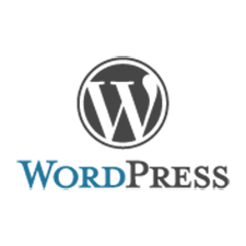 WordPress, website design, computer workshop 