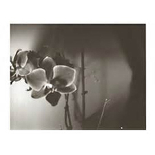 art, photography, prints, digital, analogue, silver gelatin prints