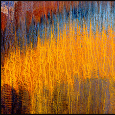 photography, contemporary photography, Paul Bailey phtography