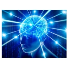 Brain, health, wellness, reflexology, relaxation