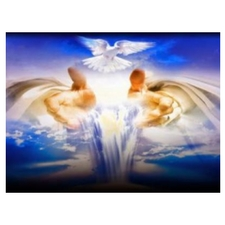 Trinity: The Soul of Creation Webcast Revisited,Centre for Action and Contemplation Conference,Bethlehem Centre  