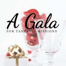 gala, party, fundraiser, entertainment, music, dinner, catered, plates catering, charity