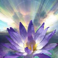 Soul in Bloom Meditation, spirituality, floral design, garden tour