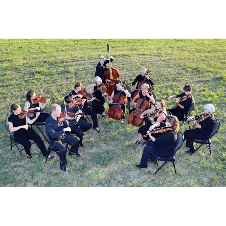 strings, chamber orchestra, concert, music