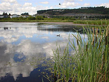 Buttertubs Marsh