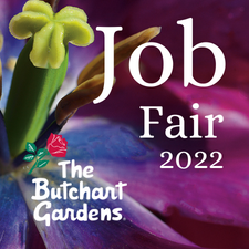 Job, employment, work, full time, part time, job fair