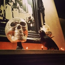 halloween, concert, murder, ballads
