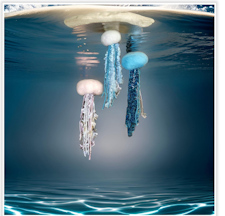 Felting, jellyfish, wall art, Arts, Crafts, Workshop, Lost Arts Club, Nanaimo, kids