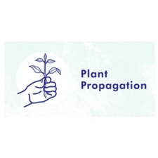 plant, garden, sustainability
