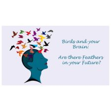 Birds, nature, conservation, environment