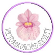 orchids, horticulture