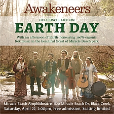 music, concert, free, folk, original