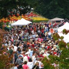 Fair, community, crafts, entertainment, baking, market