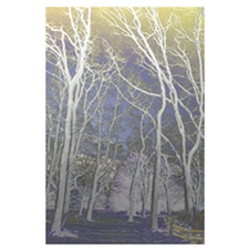 Photography, Exhibition, Gallery, Art