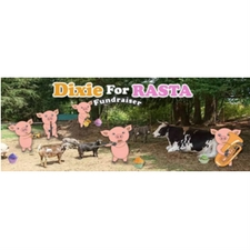 Free Radical Dixies, animal sanctuary, concert, Chemainus, fundraiser, nov3, silent auction, bake sale