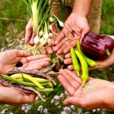 Seeds, sharing, swap, plants, planting, gardening