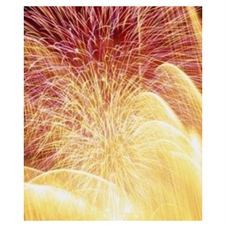 celebration,music,yoga,ayurveda,vastu,nanaimo