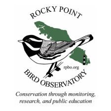 Birds, nature, conservation, environment