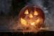 psychic fair,market,tarot,free,witch,halloween