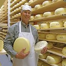 cheese, pasture, farm