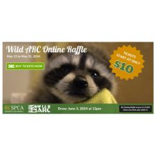 Wild Animals, Animals, Wild ARC, BC SPCA, Charity, Fundraiser, Community, Support, Prizes, Online, Raffle, Birds, Mammals, Adventure, Travel, Vacation
