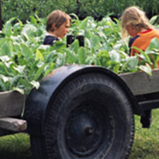 Kids, Farming, Farm, Culinary, Fun