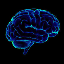 brain, training, neurofeedback