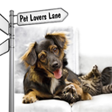dogs, cats, pets, trade show, fun zone