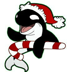 Christmas, Crafts, Killer Whales, Baking, Music, Knitting, Pottery, Soaps, Pony
