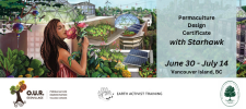 Permaculture, Education