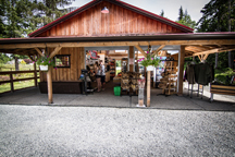 Market, Farm, meat, cheese, vegetables, fruit, coffee, tea