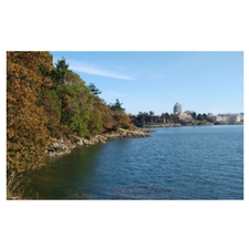 Victoria, Esquimalt, West Song Walkway, Nature, Environment, Volunteer, Community, Garry Oak Ecosystem, Wildflowers, Plants, Gardening
